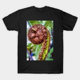 Unfurling Fern Frond T-Shirt